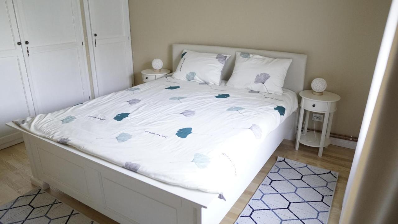 הוילה Borlesti Casa Cu Fantana מראה חיצוני תמונה